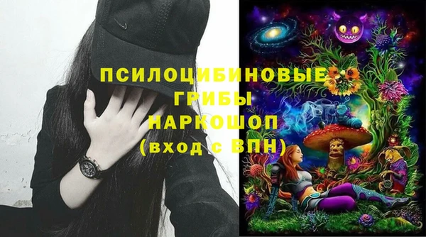 мет Каменногорск