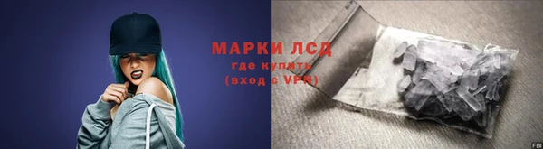 стафф Каменск-Шахтинский