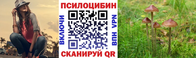 Галлюциногенные грибы MAGIC MUSHROOMS  Купить где  Юхнов
